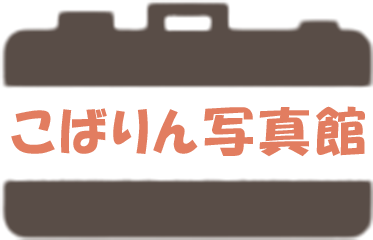 こばりん写真館